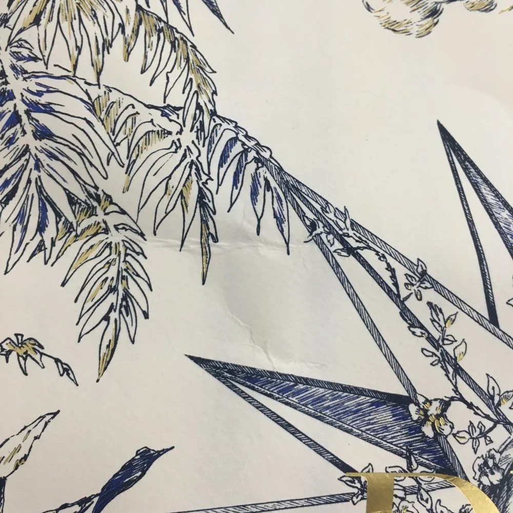 Dior 2022 Holiday Nautical Toile Gift Bag 17x14x6.5